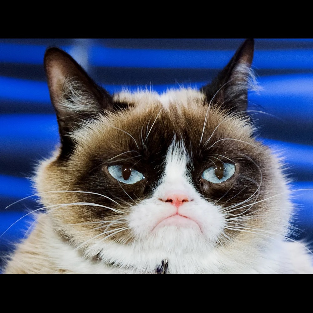 Meet your Posher, Jangmi